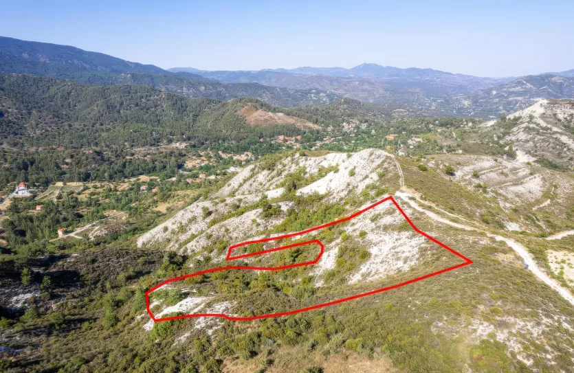 Agricultural land - 18495, photo 2