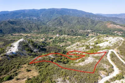 Agricultural land - 18495, photo 2