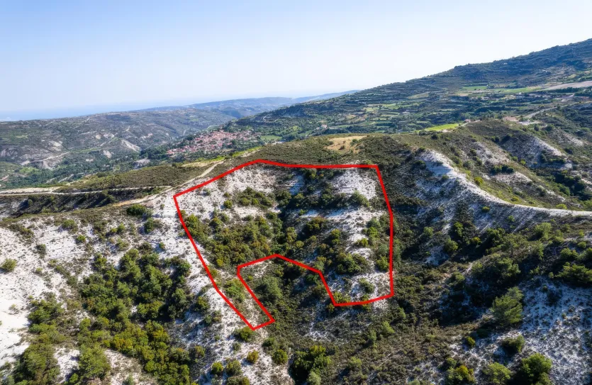 Agricultural land - 18495, photo 4