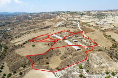 Agricultural land - 18497, photo 1