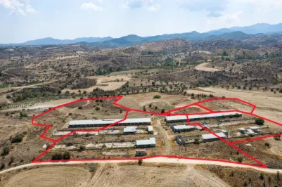 Agricultural land - 18497, photo 2