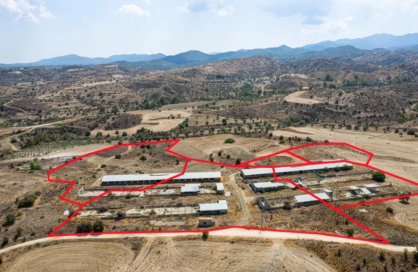 Agricultural land - 18497, photo 3