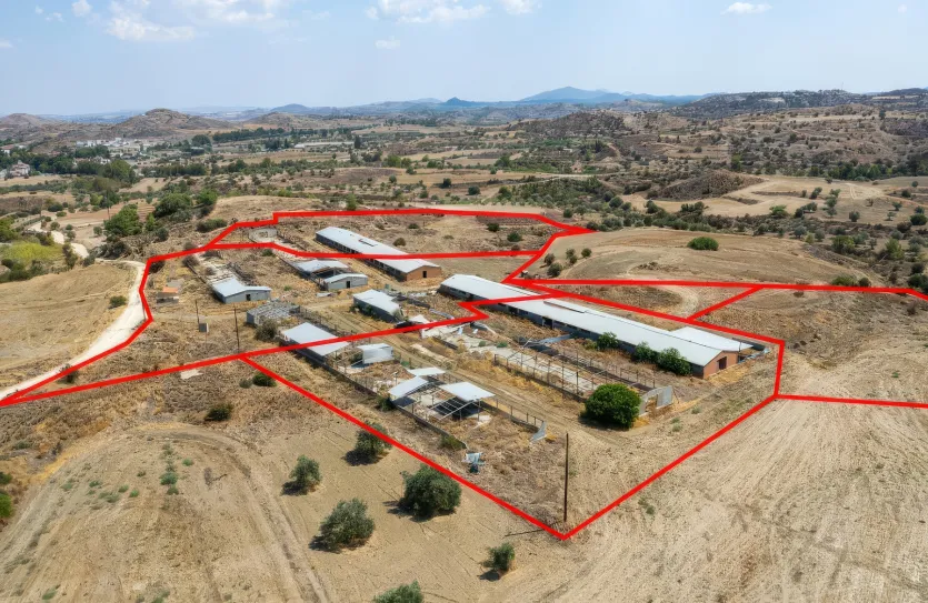 Agricultural land - 18497, photo 4