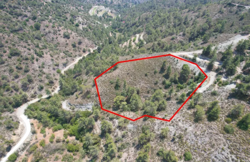 Сельхоз земля продажа - 18494