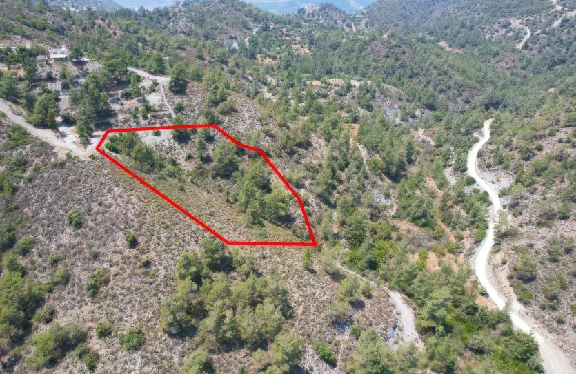 Сельхоз земля - 18494, photo 2