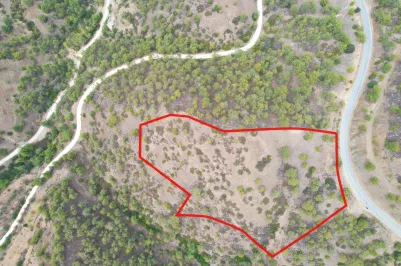 Agricultural land - 18502, photo 2