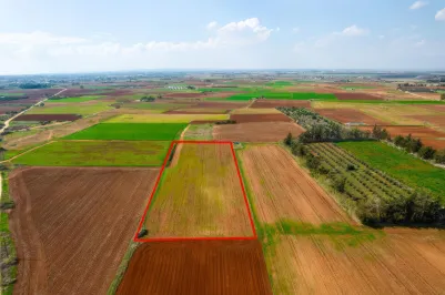 Agricultural land - 18499, photo 1