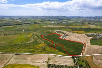 Сельхоз земля - 18501, photo 1