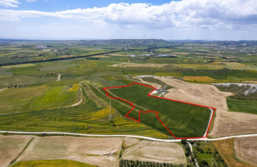 Сельхоз земля - 18501, photo 2