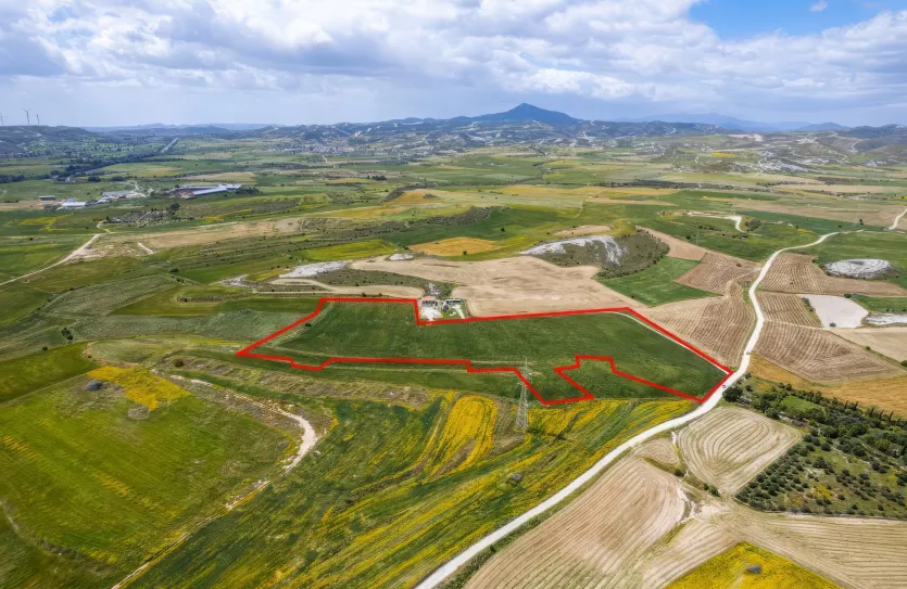 Сельхоз земля - 18501, photo 3