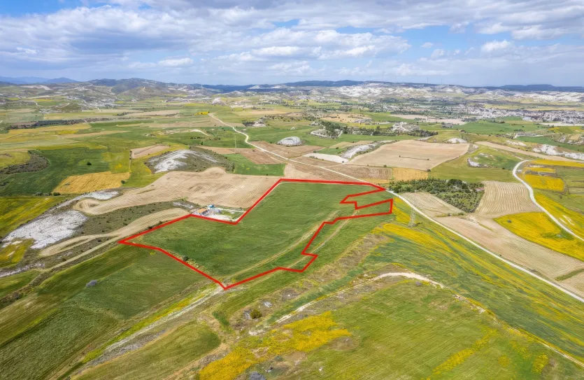 Сельхоз земля - 18501, photo 4