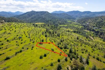 Agricultural land - 18500, photo 1