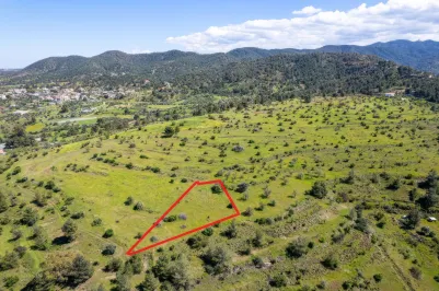 Agricultural land - 18500, photo 2