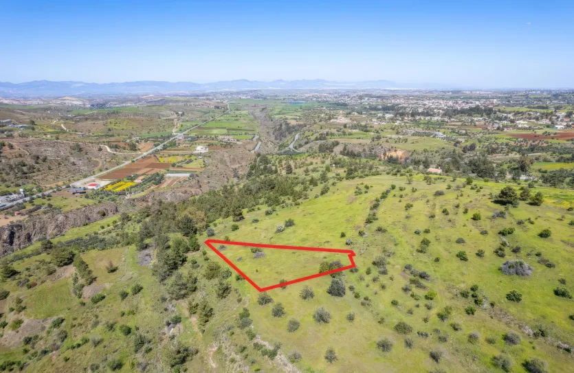 Agricultural land - 18500, photo 4