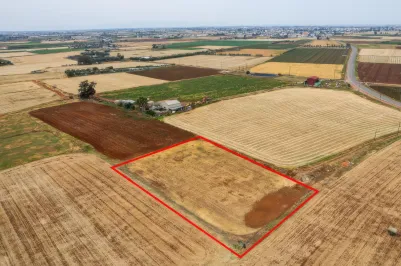 Agricultural land - 18503, photo 1