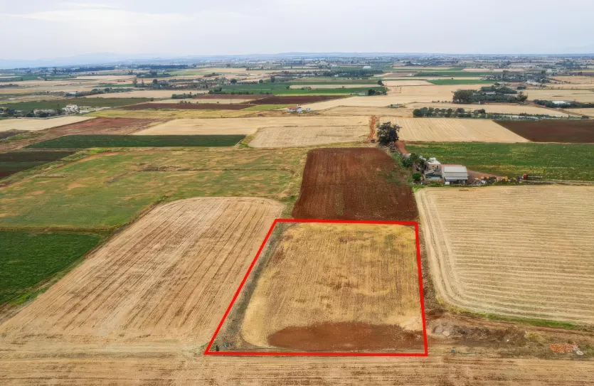 Agricultural land - 18503, photo 4