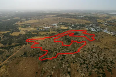 Agricultural land - 18508, photo 2