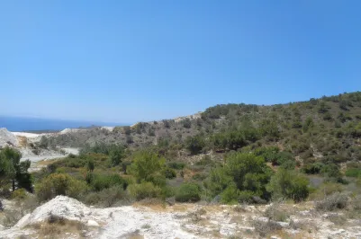 Agricultural land - 18509, photo 1