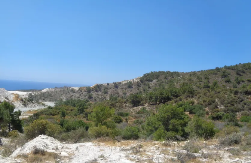 Agricultural land - 18509, photo 2