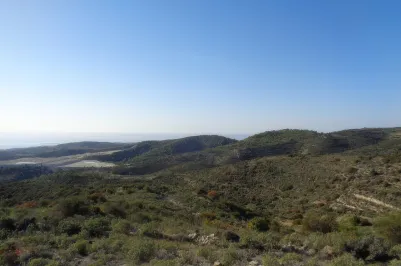 Agricultural land - 18509, photo 2