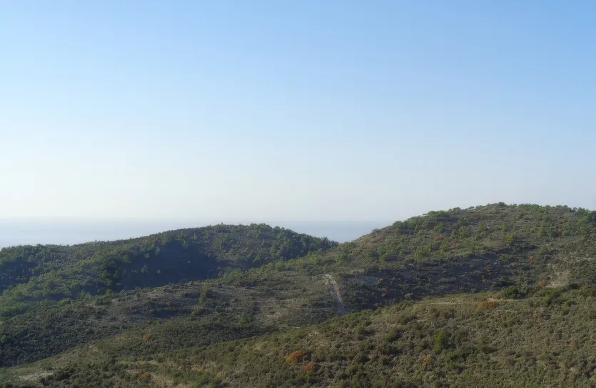 Agricultural land - 18509, photo 5