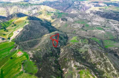 Agricultural land - 18506, photo 1