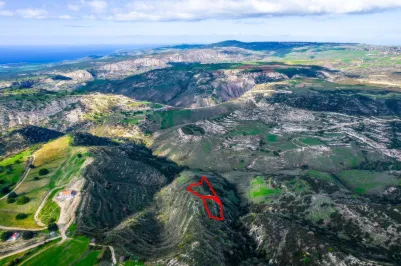 Agricultural land - 18506, photo 2