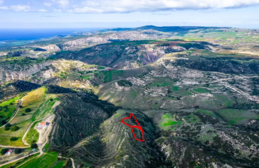 Agricultural land - 18506, photo 3