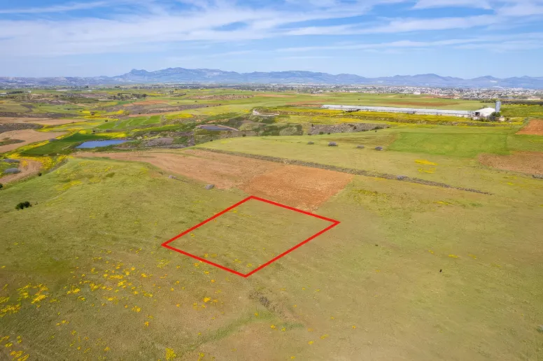 Сельхоз земля в Палеометохо, Никосия