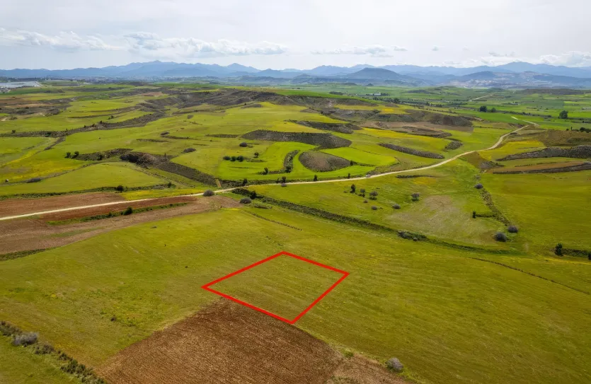 Agricultural land - 18512, photo 4