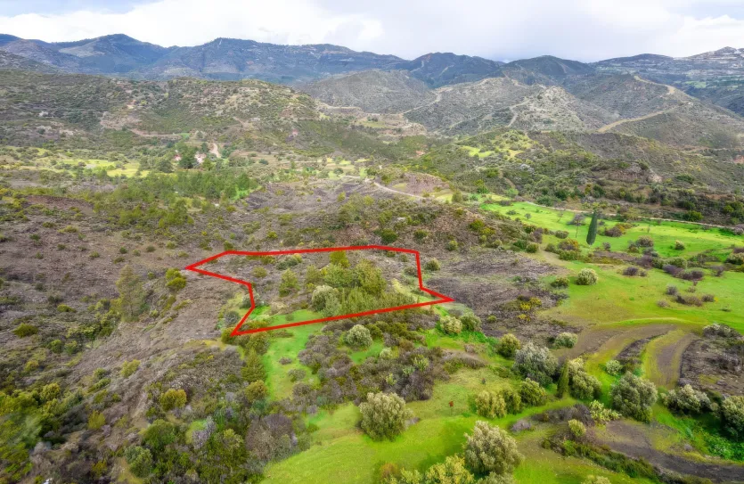 Сельхоз земля продажа - 18514