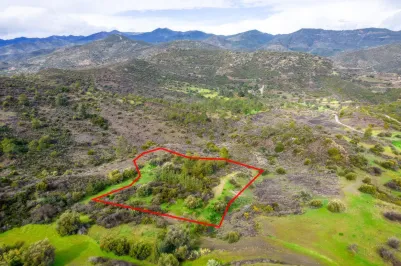 Сельхоз земля - 18514, photo 1