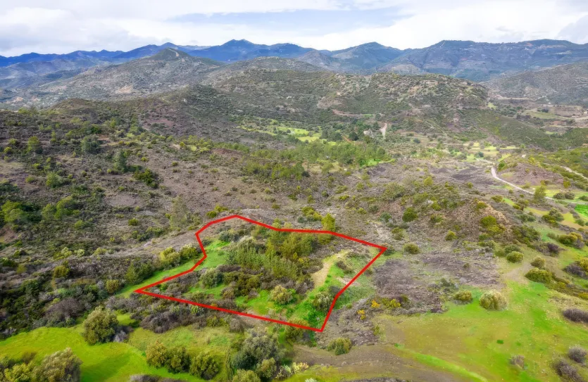 Сельхоз земля - 18514, photo 2