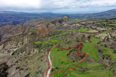 Agricultural land - 18513, photo 1