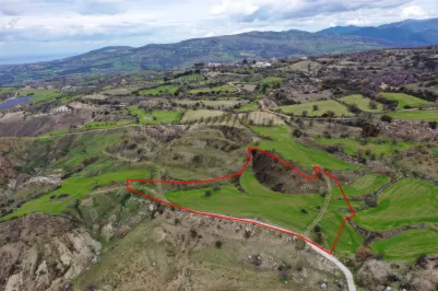 Agricultural land - 18513, photo 2