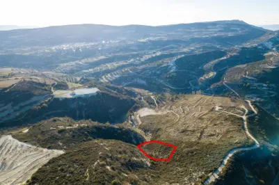 Agricultural land - 18517, photo 1