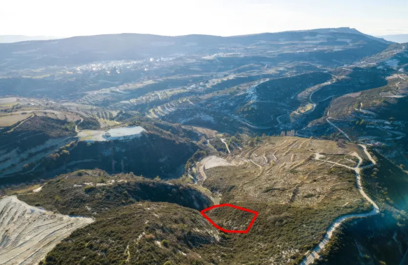 Agricultural land - 18517, photo 2