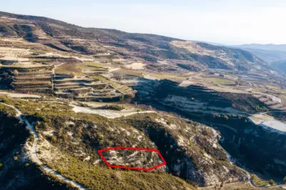 Agricultural land - 18517, photo 2