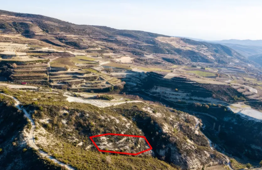 Agricultural land - 18517, photo 3