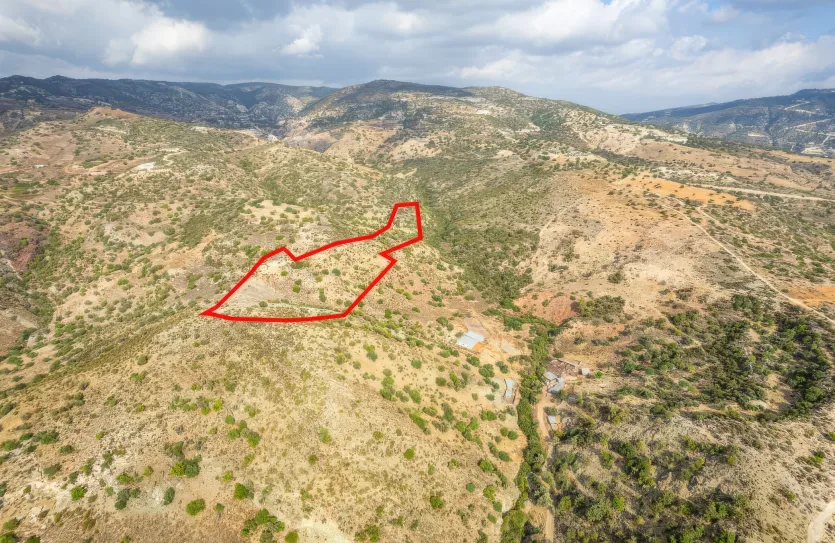 Сельхоз земля - 18520, photo 2