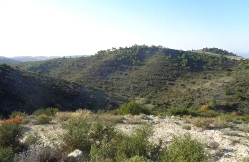 Сельхоз земля продажа - 18519