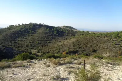 Сельхоз земля - 18519, photo 1