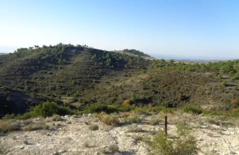 Сельхоз земля - 18519, photo 2