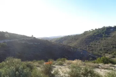 Сельхоз земля - 18519, photo 2