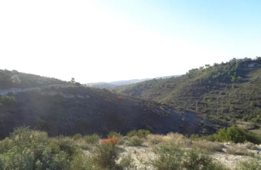 Сельхоз земля - 18519, photo 3