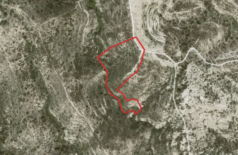 Сельхоз земля - 18519, photo 4