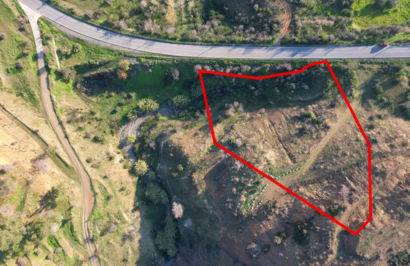 Сельхоз земля - 18522, photo 3