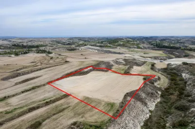 Agricultural land - 18521, photo 1