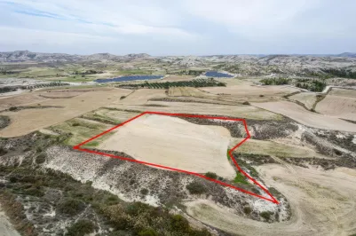 Agricultural land - 18521, photo 2