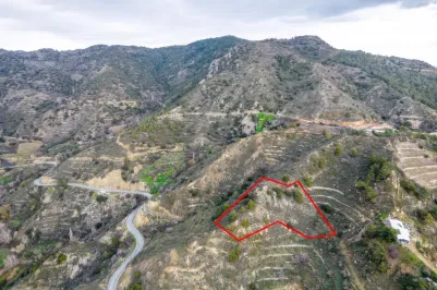 Agricultural land - 18526, photo 1